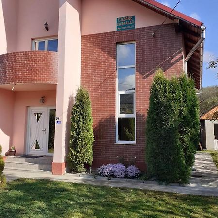 Hotel Casa Alex Vişeu de Sus Esterno foto