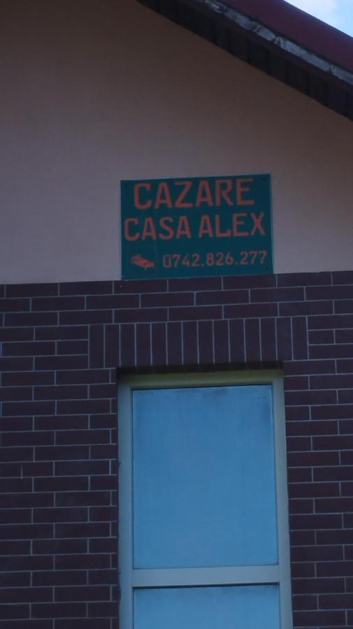 Hotel Casa Alex Vişeu de Sus Esterno foto