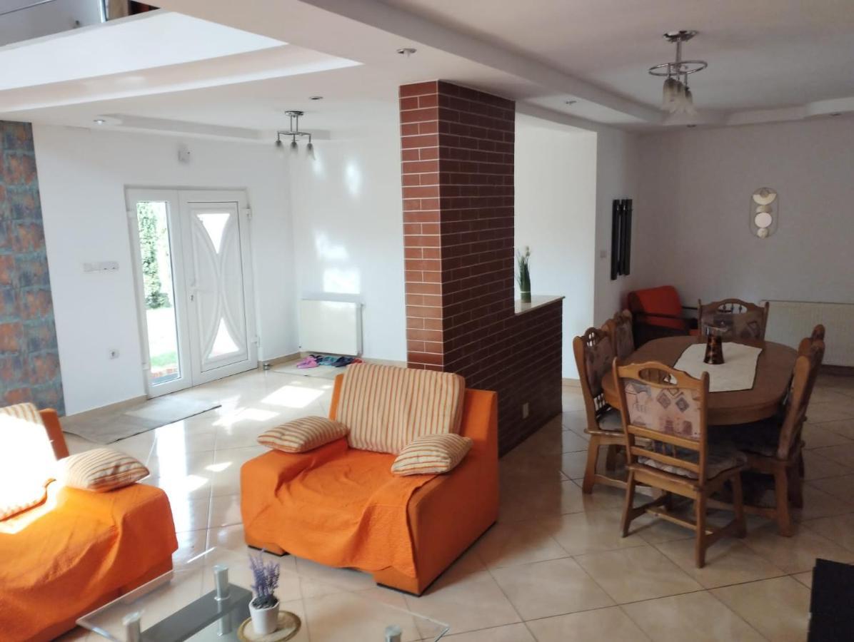 Hotel Casa Alex Vişeu de Sus Esterno foto